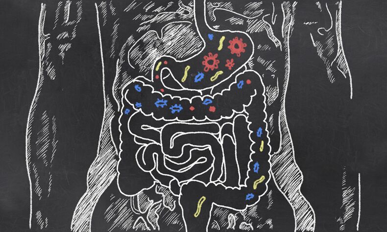 Parassiti nel tratto gastrointestinale di una persona