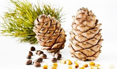 Noci di cedro per rimuovere i parassiti dal corpo