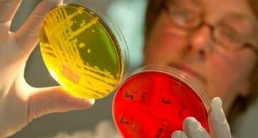 diagnosi di parassiti nel corpo